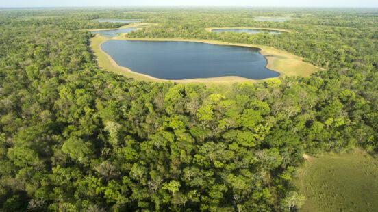 pantanal-aeria