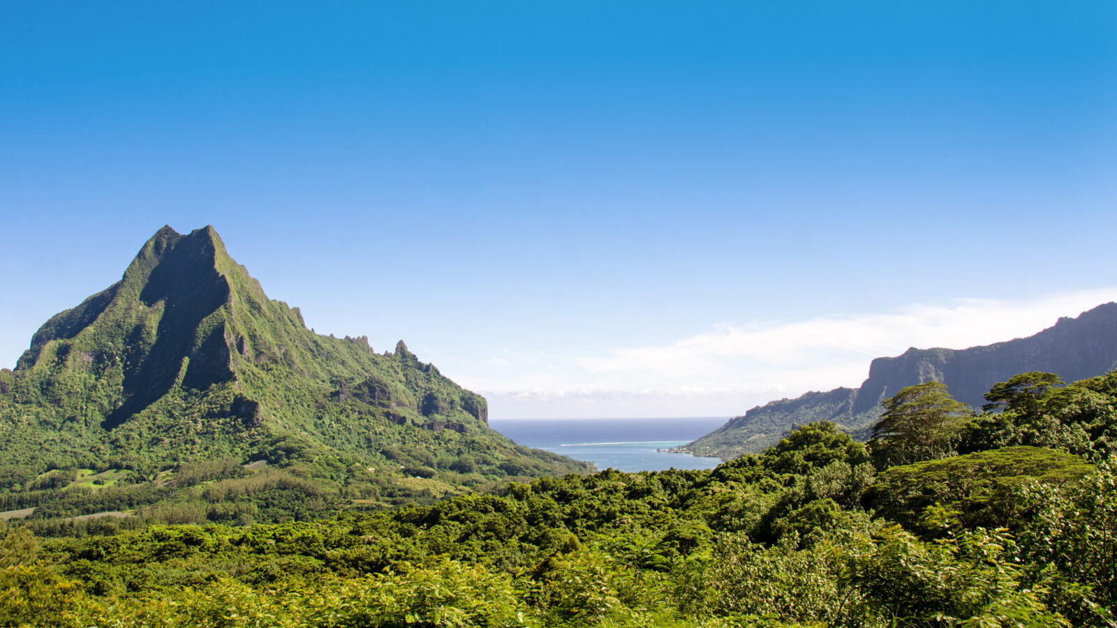 moorea-lookout