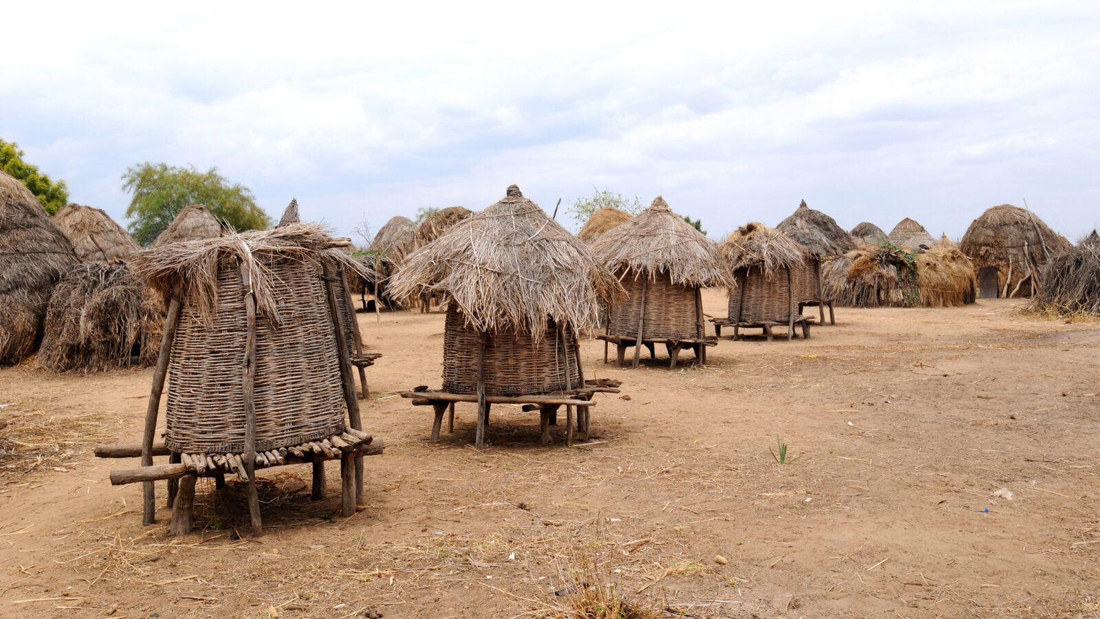omo-valley-huts
