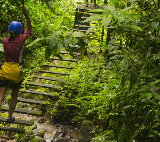 Venture into canyons