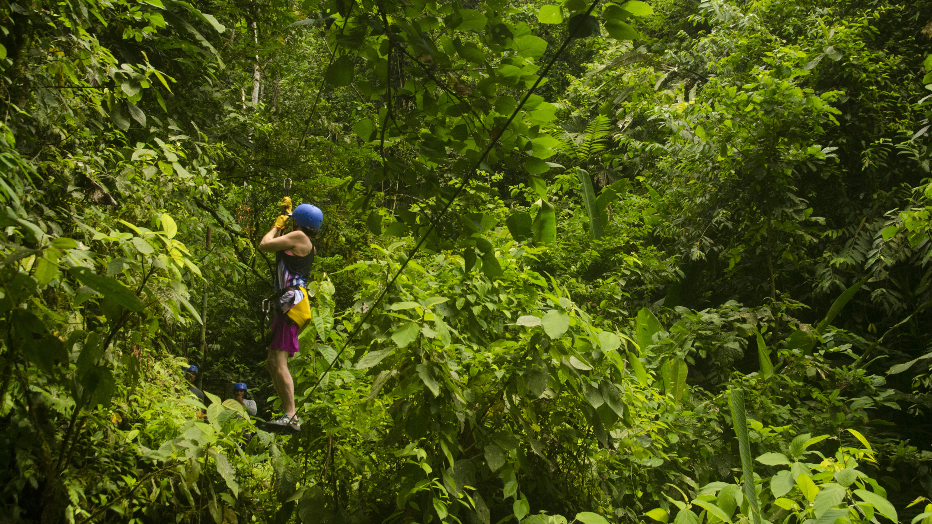 A Caribbean Wildlife Adventure in Costa Rica