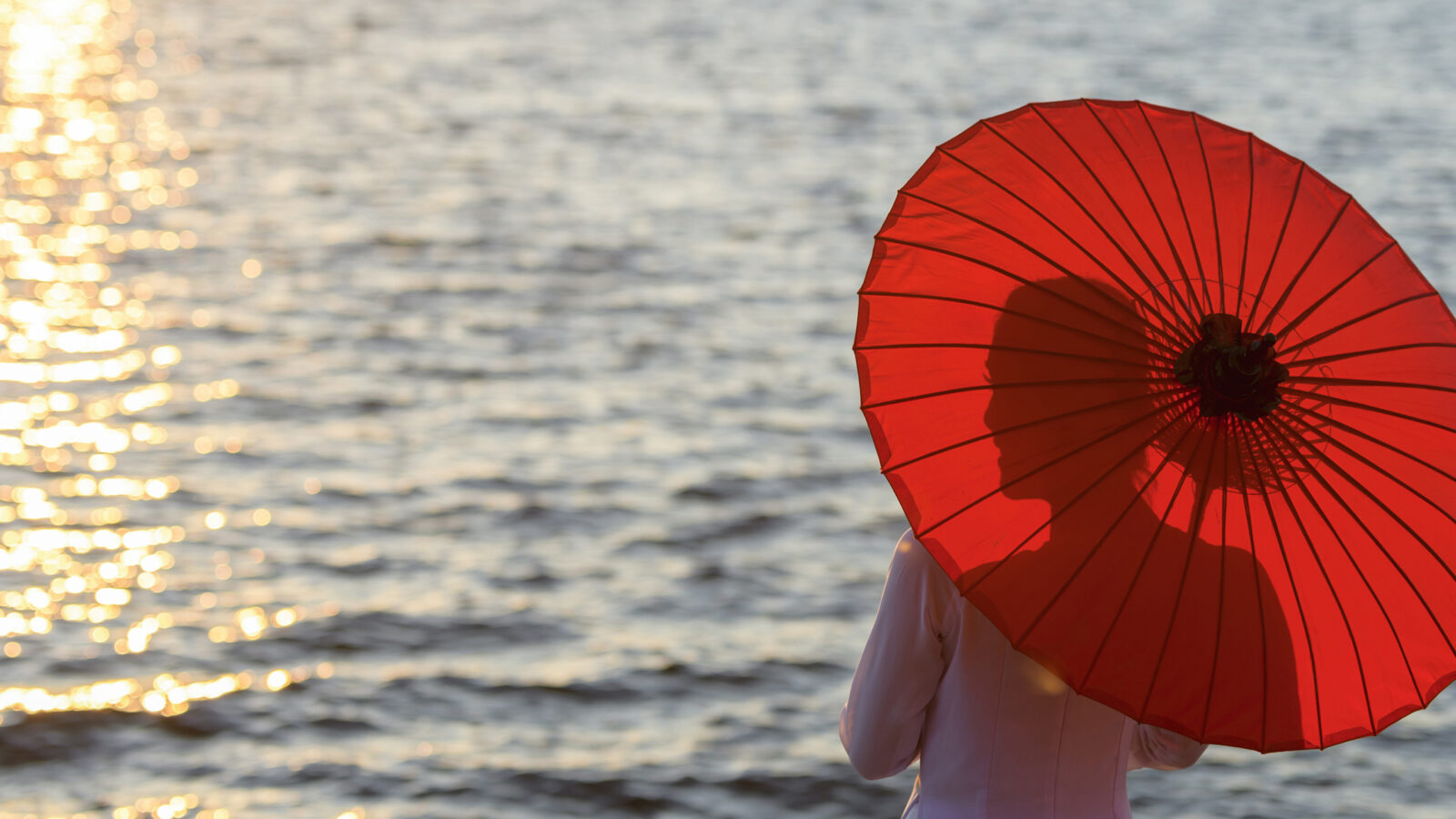 vietnamese-umbrella