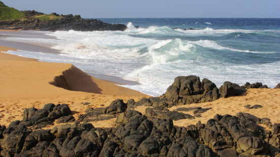 Elephant Coast South Africa
