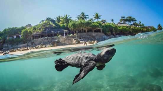 nihi-sumba-island-indonesia