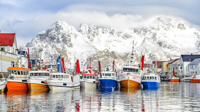 Colorful fishing boats docked in a harbor in front of massive snow-covered mountains under a cloudy sky.