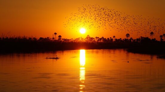 sunset-okavango-delta