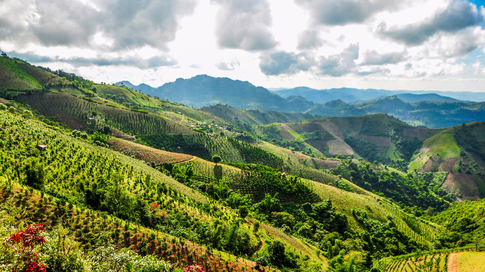kalaw-hills