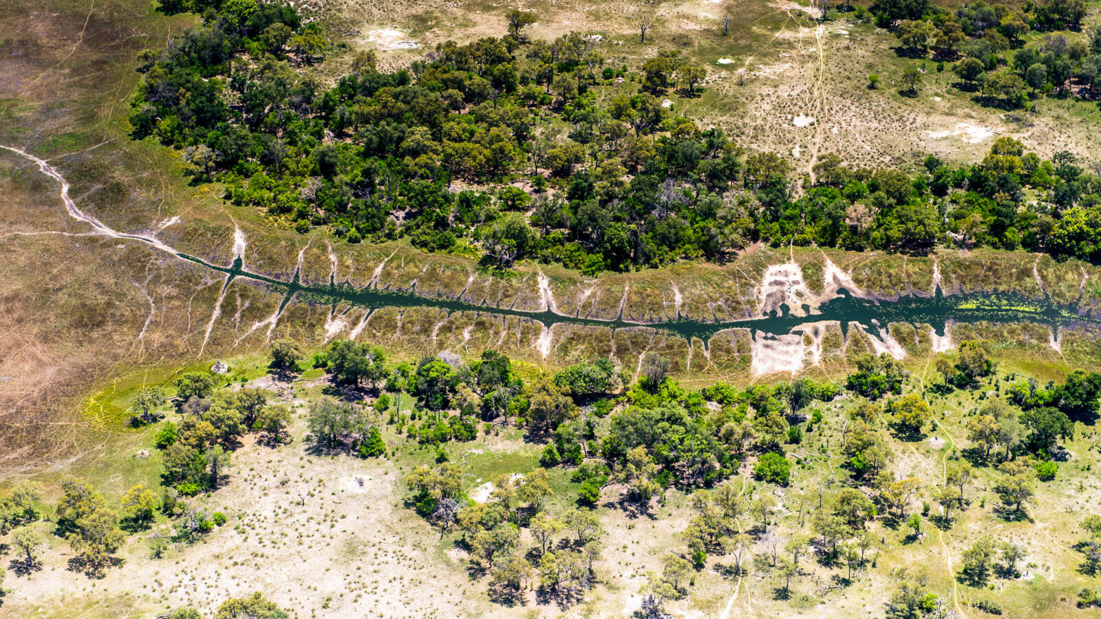 beautiful aerial view of the Okavango Delta (Okavango Grassland), One of the Seven Natural Wonders of Africa, Botswana