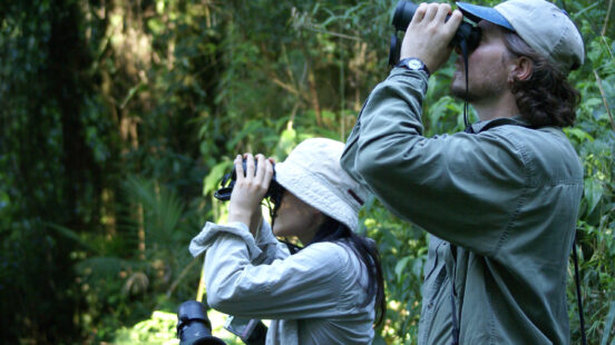 Two birdwatchers in a dense forest use binoculars to observe wildlife while dressed in outdoor adventure clothing.