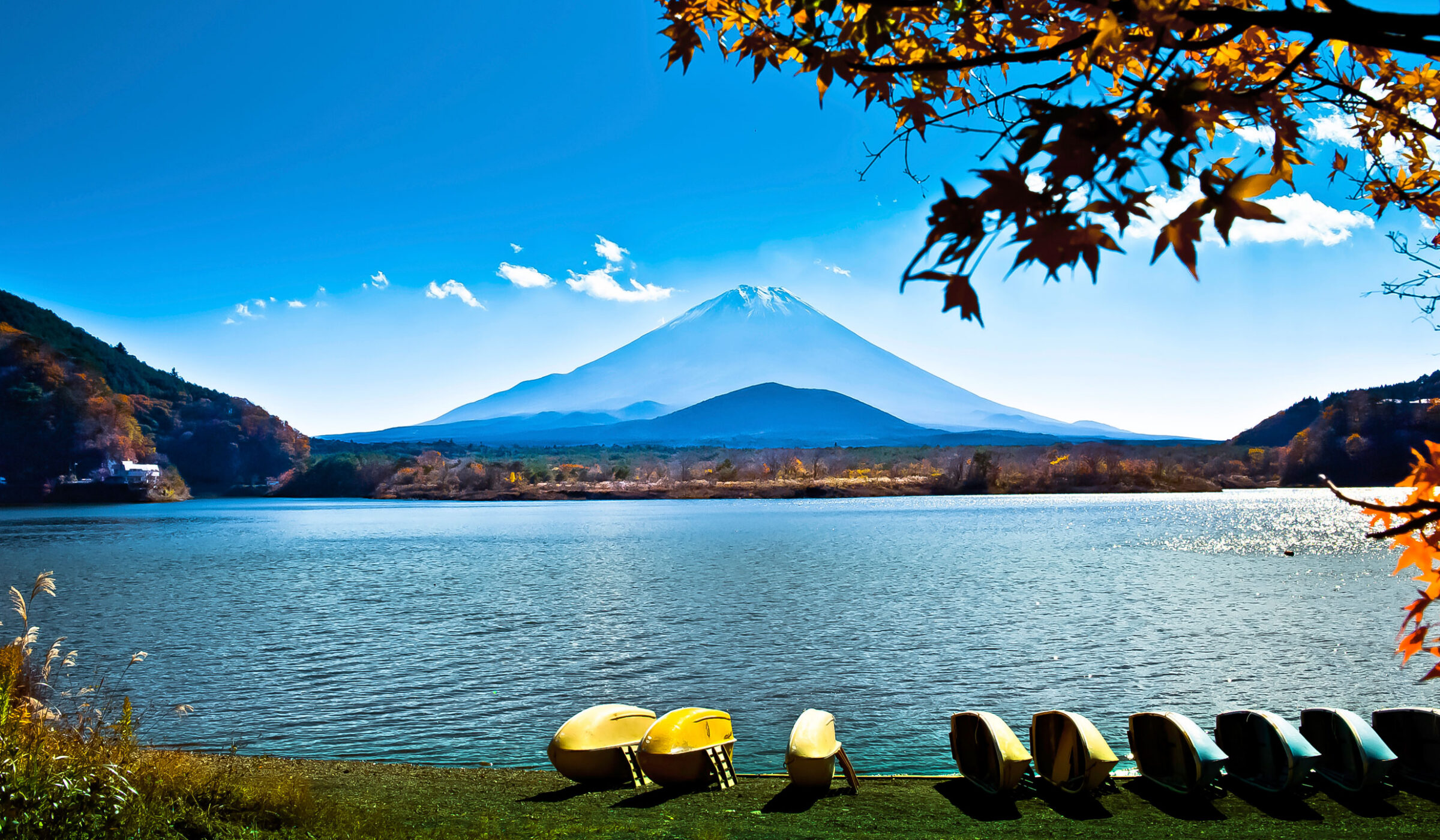 Hike with views of Mount Fuji in Hakone