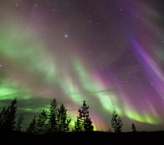 Watch the Aurora Borealis