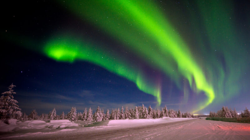 Winter night landscape with forest and polar northern light