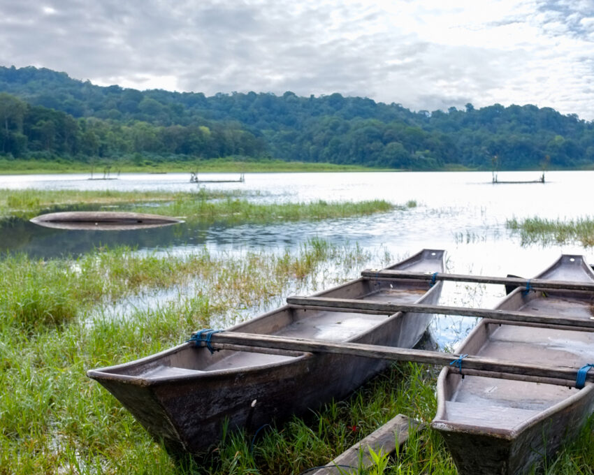 Jungle trekking and canoeing at Tamblingan Lake