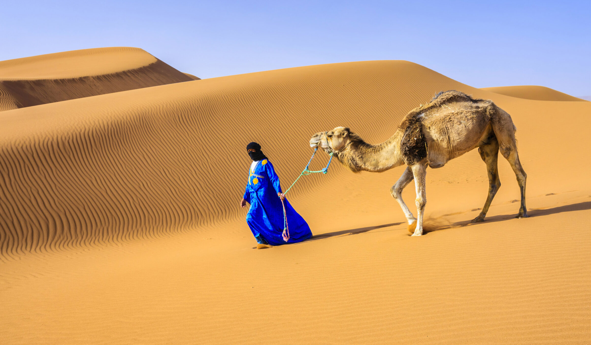 tuareg-camels-morocco