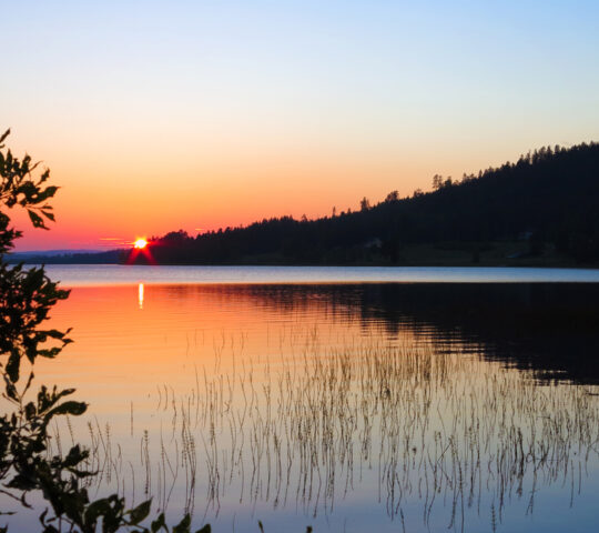 Soaking up the midnight sun