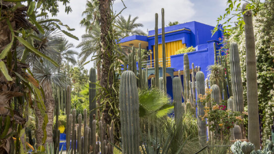 jardin-marjorelle-marrakech-morocco