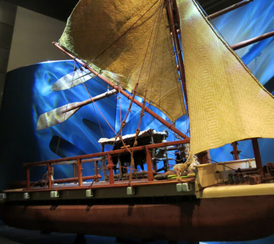Te Papa Museum