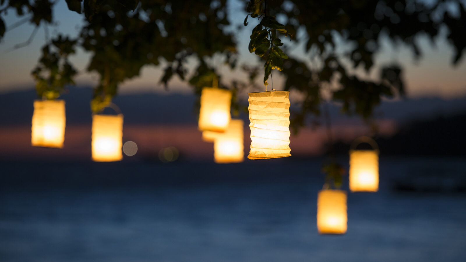 amanwana-lanterns