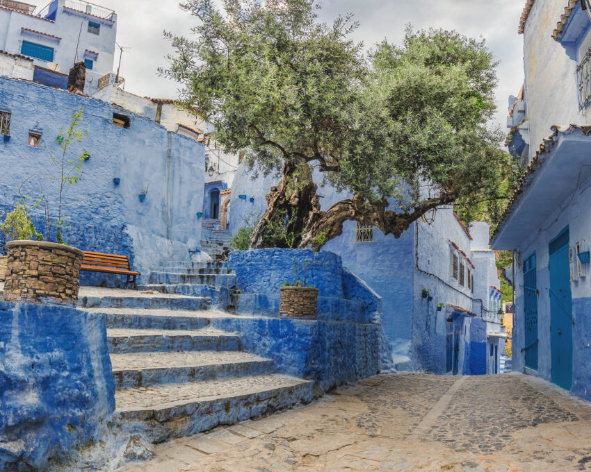 Tour of Chefchaouen en route to Fes