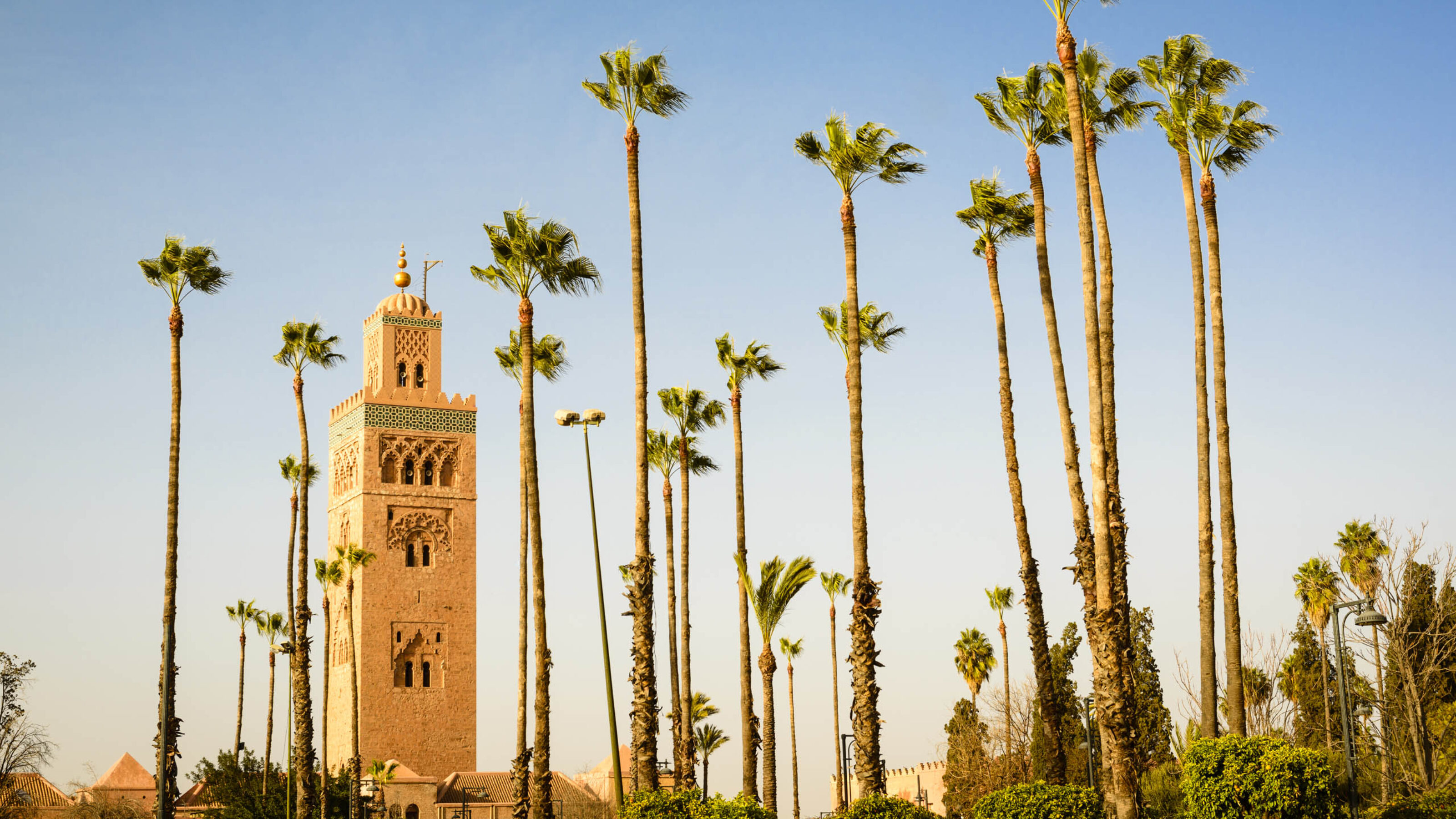 Highlights of Morocco