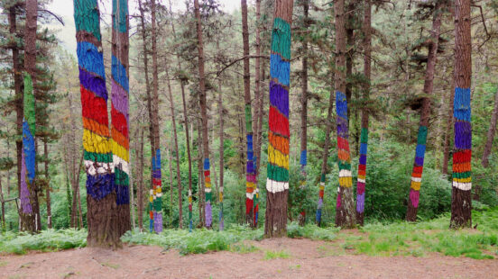 oma-forest-san-sebastian-spain