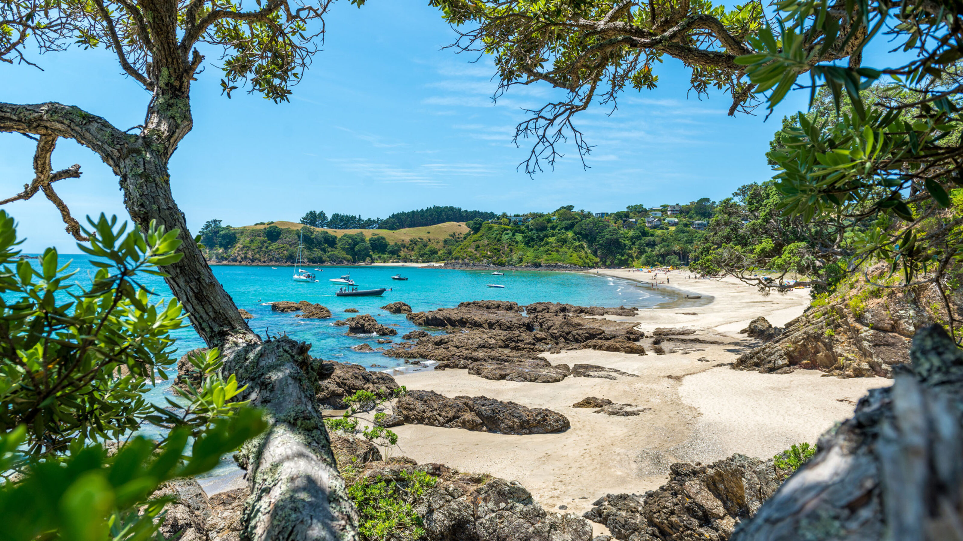 Ultimate New Zealand