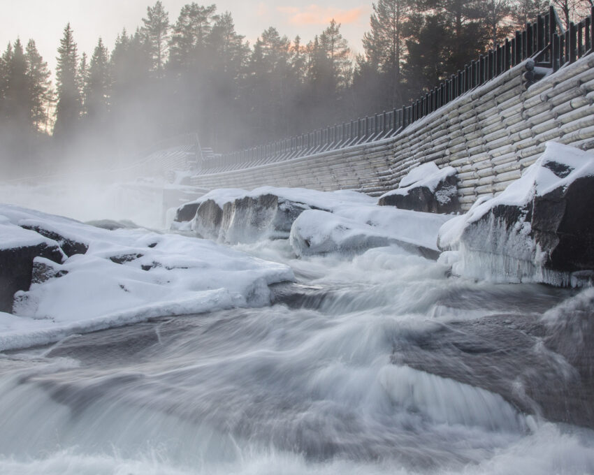 A visit to Storforsen Nature Reserve