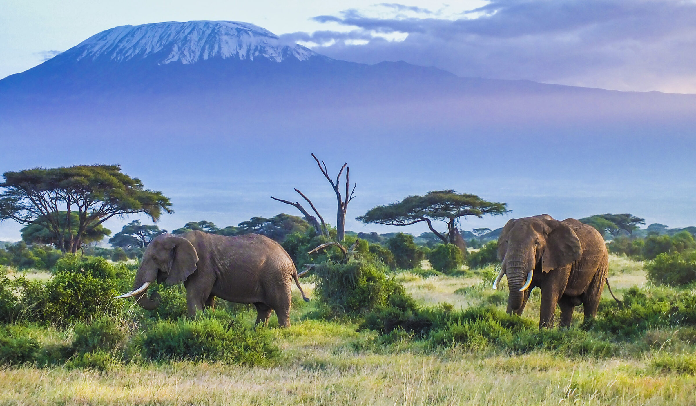 Honeymoons in Kenya