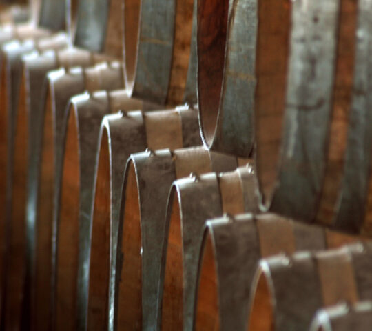 Learning the art of Australian winemaking