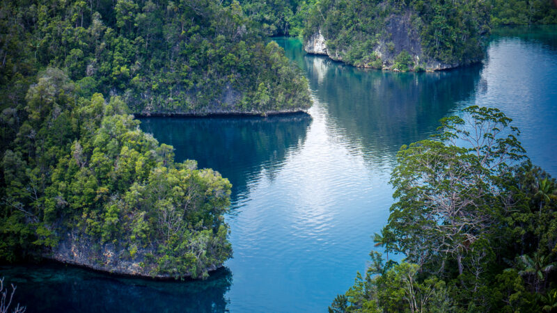 Many Rocks covered by Palmtrees in Passage between Gam and Waigeo, View Point near Warikaf Homestay. West Papuan, Raja Ampat, Indonesia.