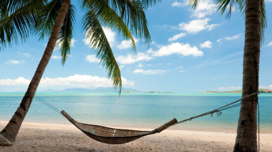 : A hammock tied between two palm trees on a sandy beach by the ocean.