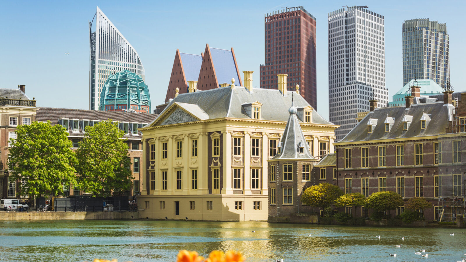 the-hague
