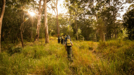 scenic-rim-trail-australia