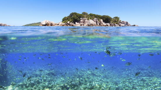 Split view, Mozambique, under and over water