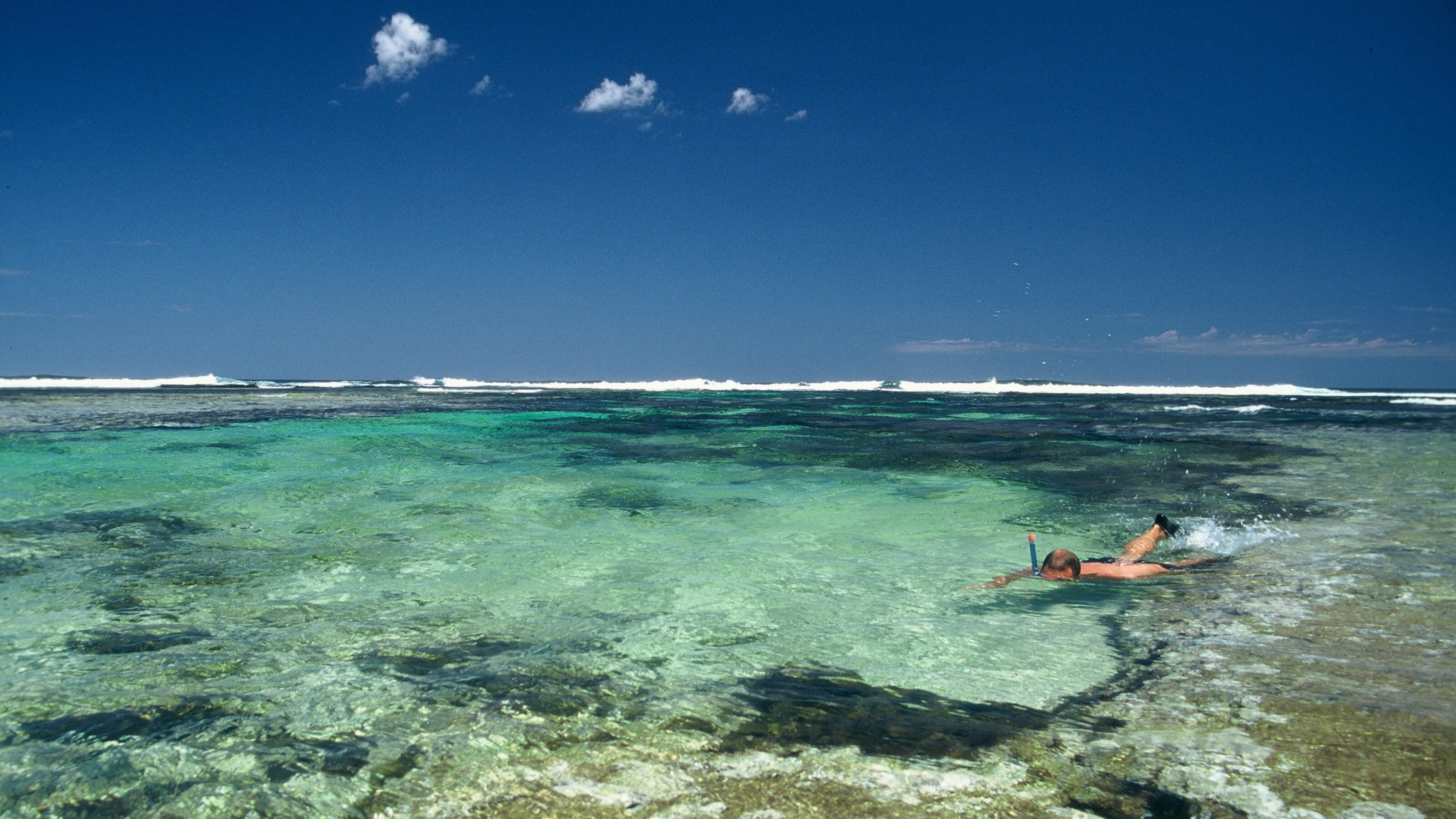 ningaloo-reef-western-australia