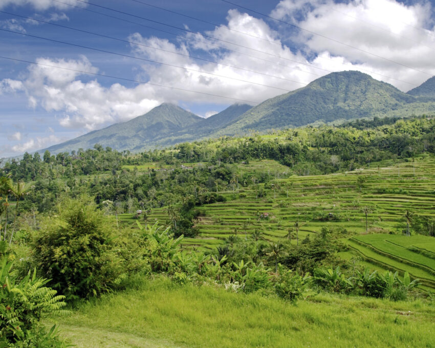 A scenic transfer to Munduk, via Batur Volcano