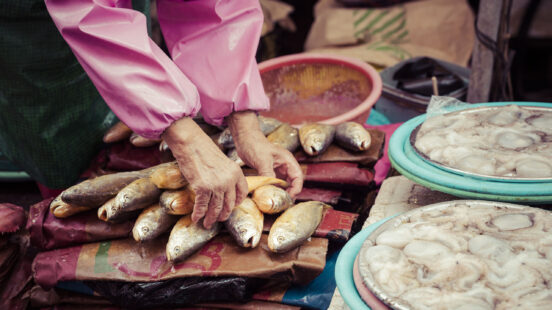 Close-up of a personx27;s hands organizing small whole fish at an outdoor seafood market stall.