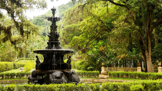 botanic-garden-rio-de-janeiro-brazil