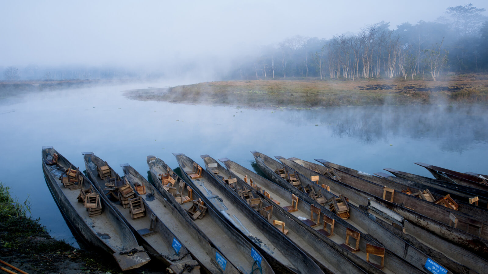 chitwan-boats