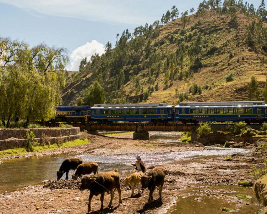 Vistadome Train to Machu Picchu from the Sacred Valley