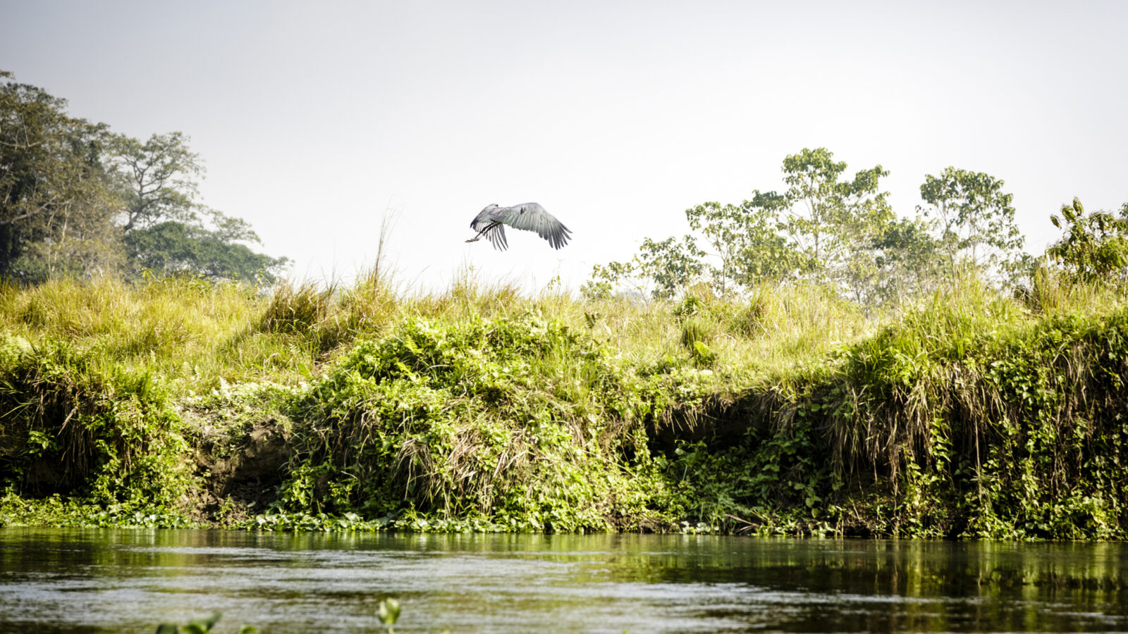 chitwan-natural-reserve-nepal
