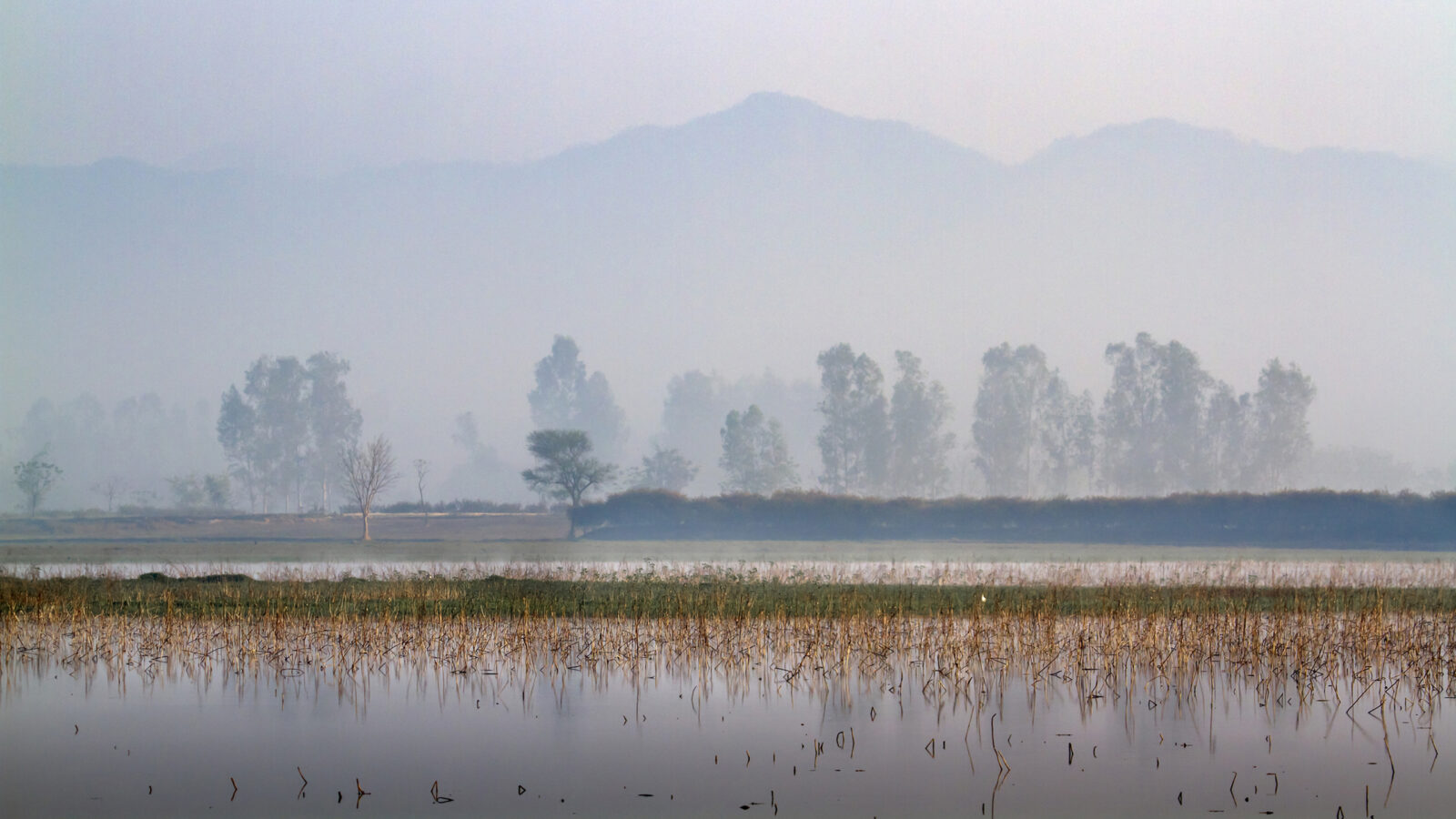bardia-national-park-nepal-misty-morning