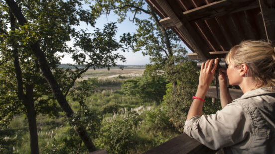 wildlife-watching-tiger-tops-karnali-lodge