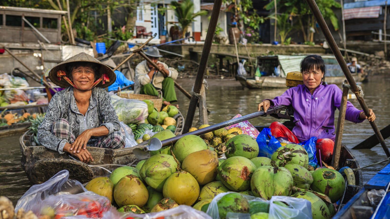 Vietnamese woman selling coconuts on floating market, Mekong River Delta, Vietnam