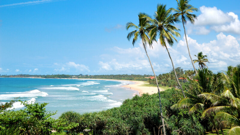 Beach, palms and turquoise water of Indian Ocean, Bentota, Sri Lanka