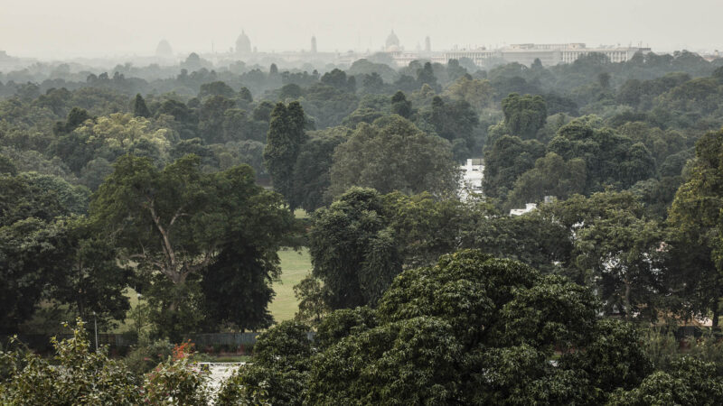 Lutyens’ Delhi emerges from a lush green canopy. Views from the Taj Mahal Hotel.