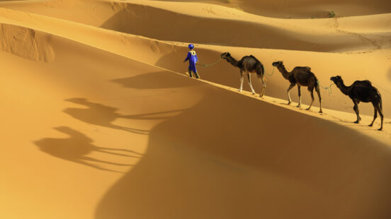 A person in blue leading a caravan of three camels across the peaks of a vast orange sand dune desert.