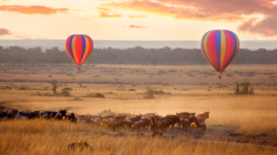 Masai Mara sunrise with wildebeest and balloons, Kenya, Africa