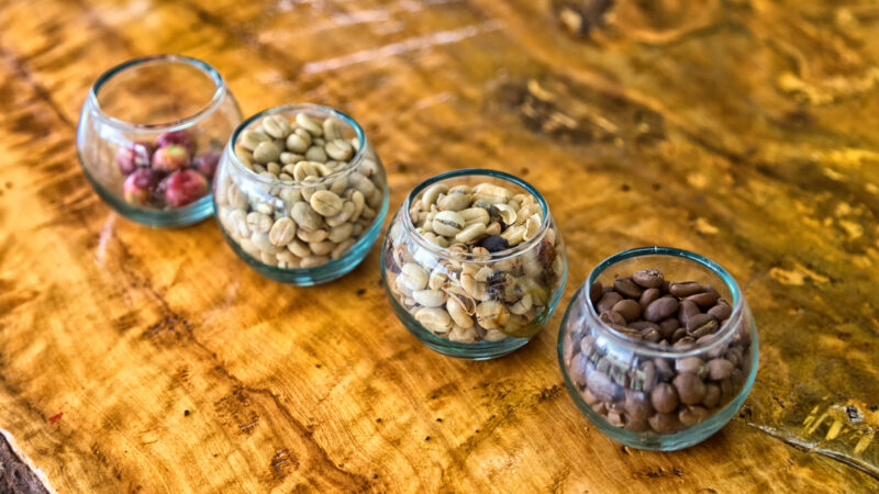 Coffee states from raw to toasted