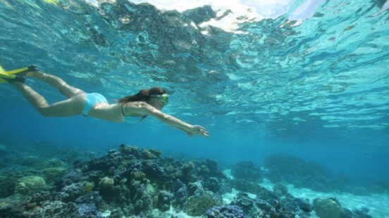 diving-moorea-french-polynesia